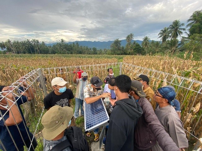 Field work in Indonesia